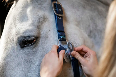 Horseware Ireland Grooming Headcollar| Online For Equine