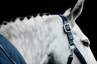 Horseware Ireland Grooming Headcollar| Online For Equine