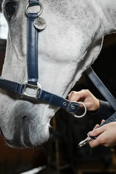 Horseware Ireland Grooming Headcollar| Online For Equine