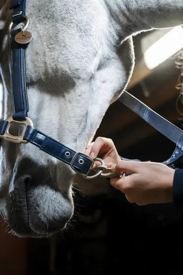Horseware Ireland Grooming Headcollar| Online For Equine