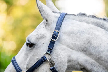 Horseware Ireland Grooming Headcollar| Online For Equine
