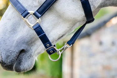 Horseware Ireland Grooming Headcollar| Online For Equine