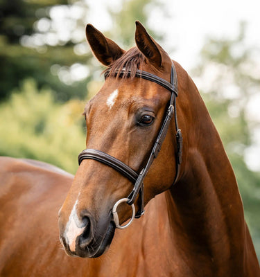 Horseware Ireland Havana Brown Horseware Ireland Hunter Bridle| Online For Equine