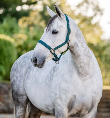 Horseware Ireland Headcollar & Leadrope| Online For Equine