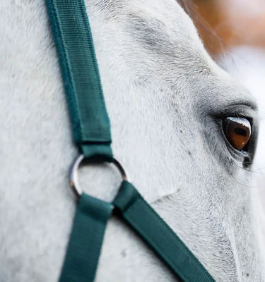 Horseware Ireland Headcollar & Leadrope| Online For Equine