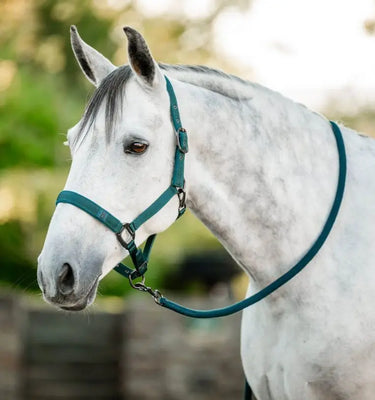 Horseware Ireland Headcollar & Leadrope| Online For Equine