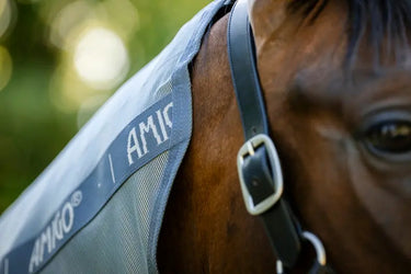 Horseware Ireland Heather Blue/Blue & Silver Amigo integrated Fly Sheet| Online For Equine