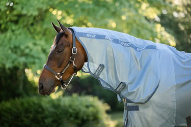Horseware Ireland Heather Blue/Blue & Silver Amigo integrated Fly Sheet| Online For Equine