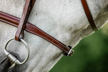 Horseware Ireland Hunter Cavesson Bridle W/Reins| Online For Equine