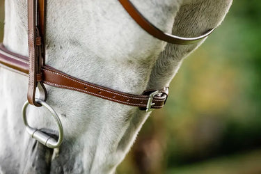 Horseware Ireland Hunter Cavesson Bridle W/Reins| Online For Equine