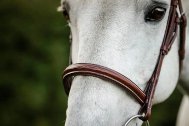 Horseware Ireland Hunter Cavesson Bridle W/Reins| Online For Equine