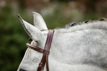 Horseware Ireland Hunter Cavesson Bridle W/Reins| Online For Equine