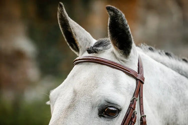 Horseware Ireland Hunter Cavesson Bridle W/Reins| Online For Equine