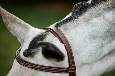 Horseware Ireland Hunter Cavesson Bridle W/Reins| Online For Equine