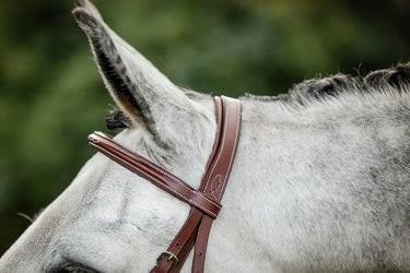 Horseware Ireland Hunter Cavesson Bridle W/Reins| Online For Equine