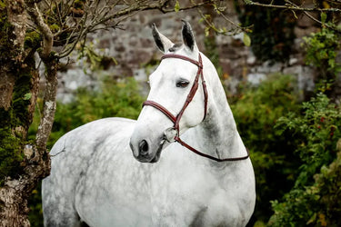 Horseware Ireland Hunter Cavesson Bridle W/Reins| Online For Equine
