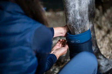 Horseware Ireland Imperial Blue Horseware Ireland Ionic Bandage Pads - set of 2| Online For Equine