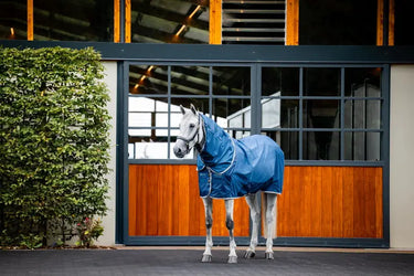 Horseware Ireland Imperial Blue/Silver & Navy Horseware Ireland Ionic Therapy Mesh Cooler hood| Online For Equine