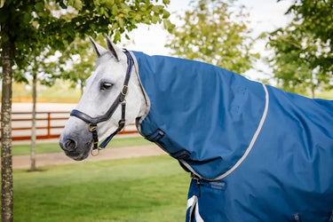 Horseware Ireland Imperial Blue/Silver & Navy Horseware Ireland Ionic Therapy Turnout Hood 0g| Online For Equine