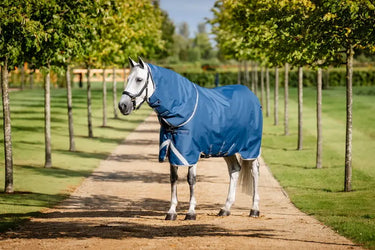 Horseware Ireland Imperial Blue/Silver & Navy Horseware Ireland Ionic Therapy Turnout Hood 0g| Online For Equine