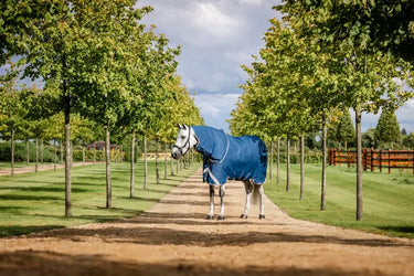 Horseware Ireland Imperial Blue/Silver & Navy Horseware Ireland Ionic Therapy Turnout Hood 0g| Online For Equine