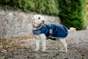Horseware Ireland Ionic Therapy Dog Coat 50G| Online For Equine