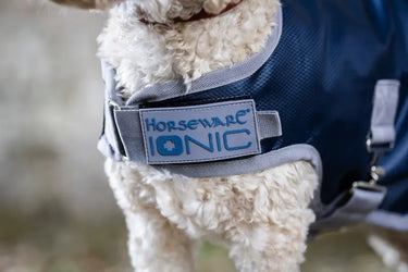 Horseware Ireland Ionic Therapy Dog Coat 50G| Online For Equine