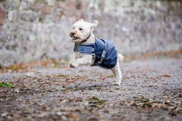 Horseware Ireland Ionic Therapy Dog Coat 50G| Online For Equine