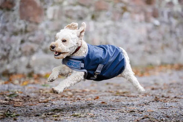 Horseware Ireland Ionic Therapy Dog Coat 50G| Online For Equine
