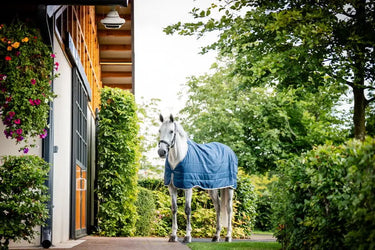 Horseware Ireland Ionic Therapy Liner Rug 50G| Online For Equine