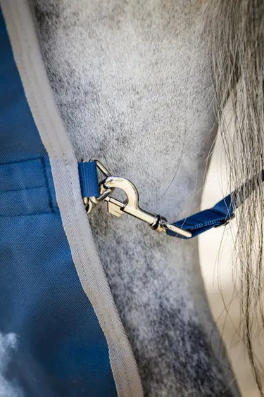 Horseware Ireland Ionic Therapy Turnout Rug 100G| Online For Equine