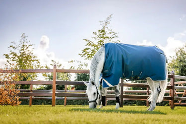 Horseware Ireland Ionic Therapy Turnout Rug 100G| Online For Equine