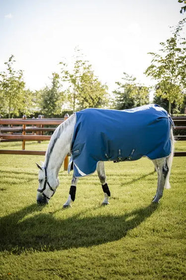 Horseware Ireland Ionic Therapy Turnout Rug 100G| Online For Equine