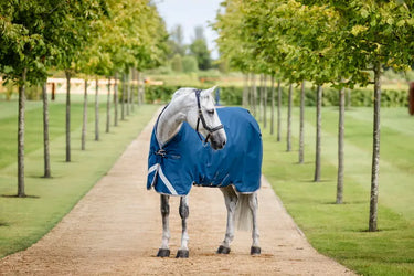 Horseware Ireland Ionic Therapy Turnout Rug 100G| Online For Equine