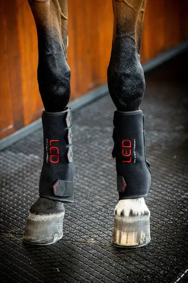 Horseware Ireland LED Red Light Therapy Leg Wrap| Online For Equine
