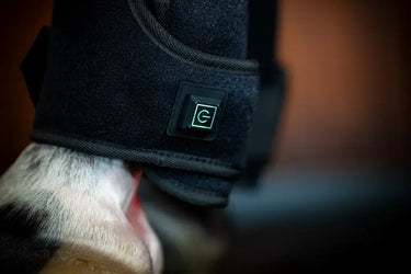 Horseware Ireland LED Red Light Therapy Leg Wrap| Online For Equine
