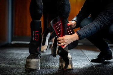 Horseware Ireland LED Red Light Therapy Leg Wrap| Online For Equine