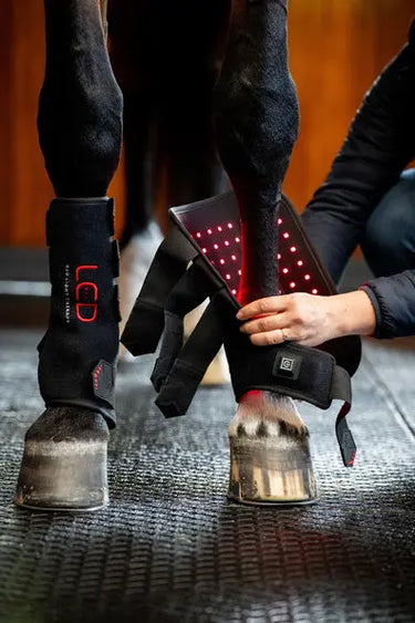 Horseware Ireland LED Red Light Therapy Leg Wrap| Online For Equine