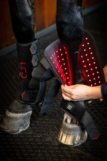 Horseware Ireland LED Red Light Therapy Leg Wrap| Online For Equine