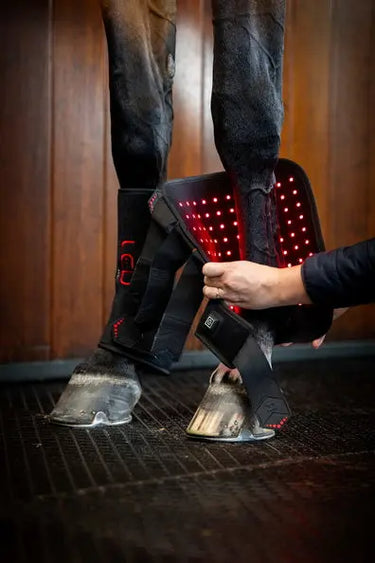 Horseware Ireland LED Red Light Therapy Leg Wrap| Online For Equine