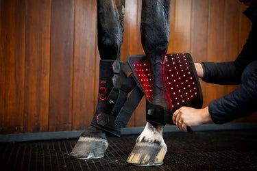 Horseware Ireland LED Red Light Therapy Leg Wrap| Online For Equine