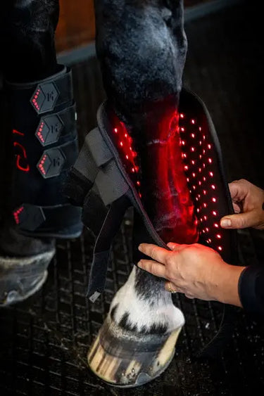 Horseware Ireland LED Red Light Therapy Leg Wrap| Online For Equine