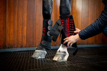 Horseware Ireland LED Red Light Therapy Leg Wrap| Online For Equine