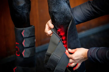 Horseware Ireland LED Red Light Therapy Leg Wrap| Online For Equine