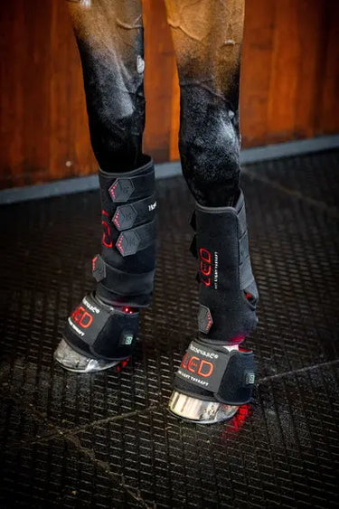 Horseware Ireland LED Red Light Therapy Leg Wrap| Online For Equine