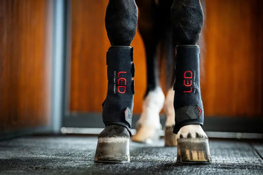 Horseware Ireland LED Red Light Therapy Leg Wrap| Online For Equine