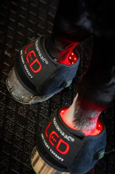 Horseware Ireland LED Red Light Therapy Mini Wrap| Online For Equine