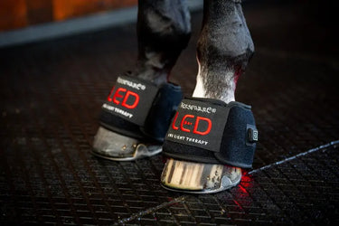 Horseware Ireland LED Red Light Therapy Mini Wrap| Online For Equine