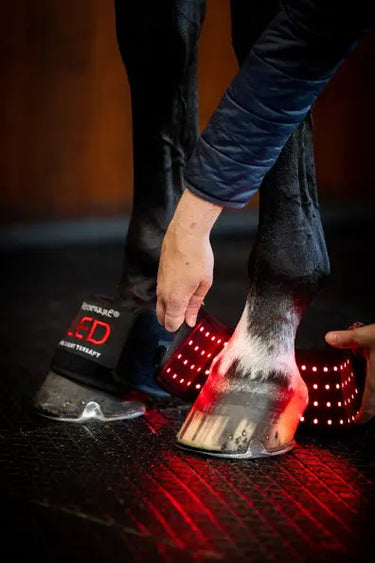 Horseware Ireland LED Red Light Therapy Mini Wrap| Online For Equine