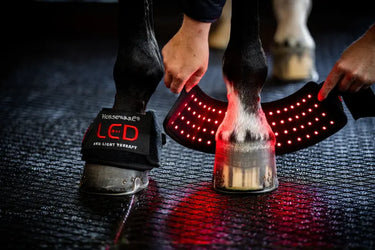 Horseware Ireland LED Red Light Therapy Mini Wrap| Online For Equine